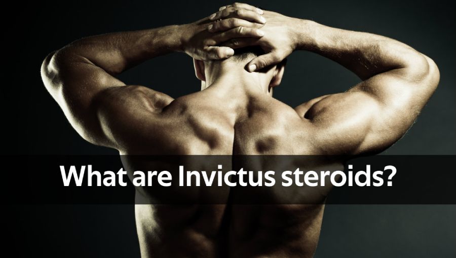 invictus steroids